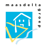 Organisatieopstellingen